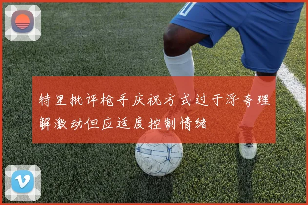 特里批评枪手庆祝方式过于浮夸理解激动但应适度控制情绪